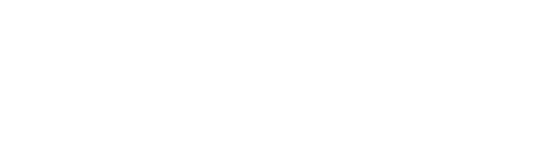 AI Ecommerce Agency