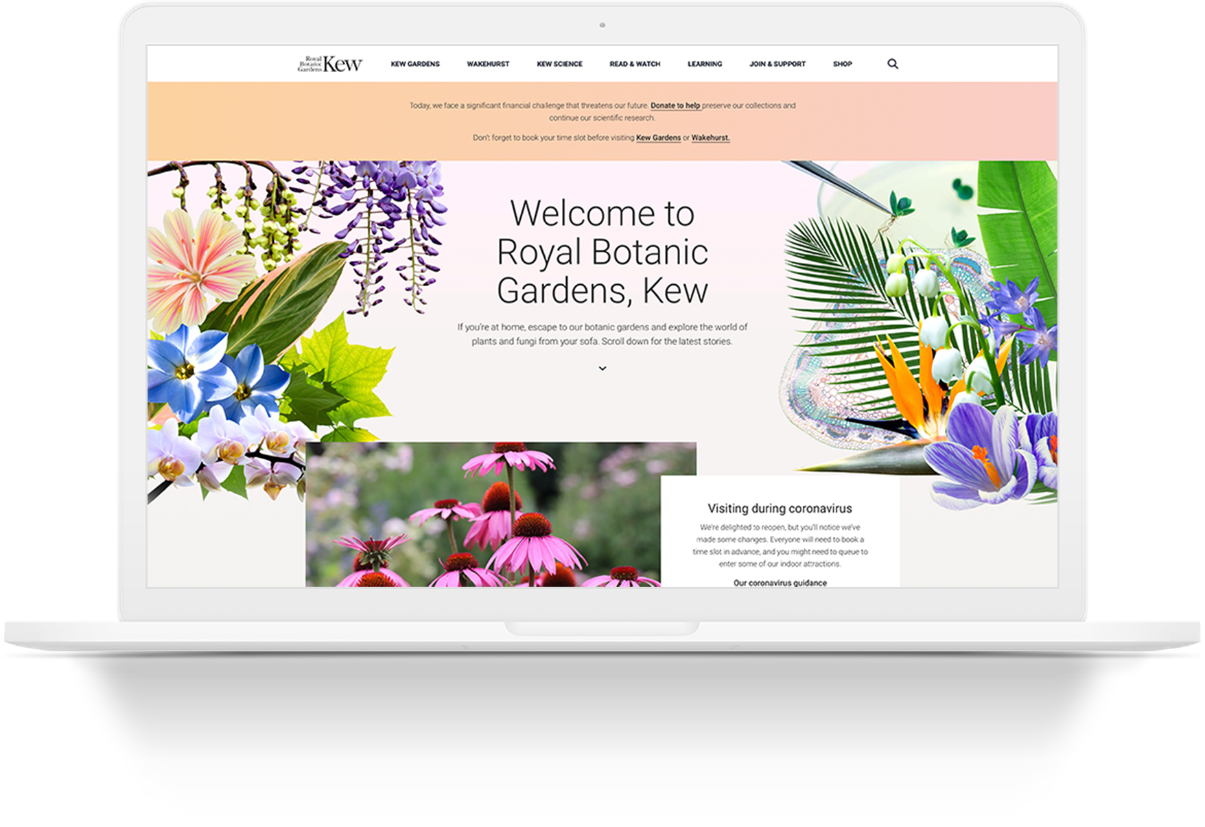 Kew Gardens Shopify storefront