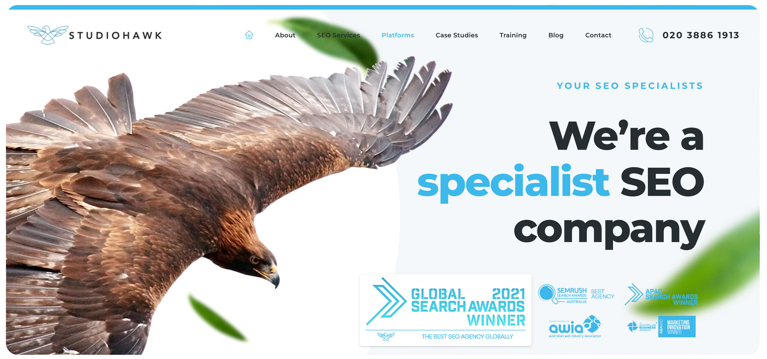 StudioHawk SEO Agency