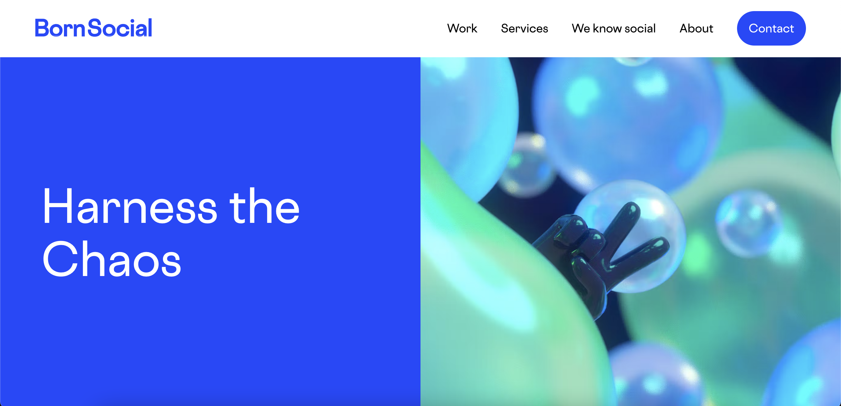 Born Social Agency