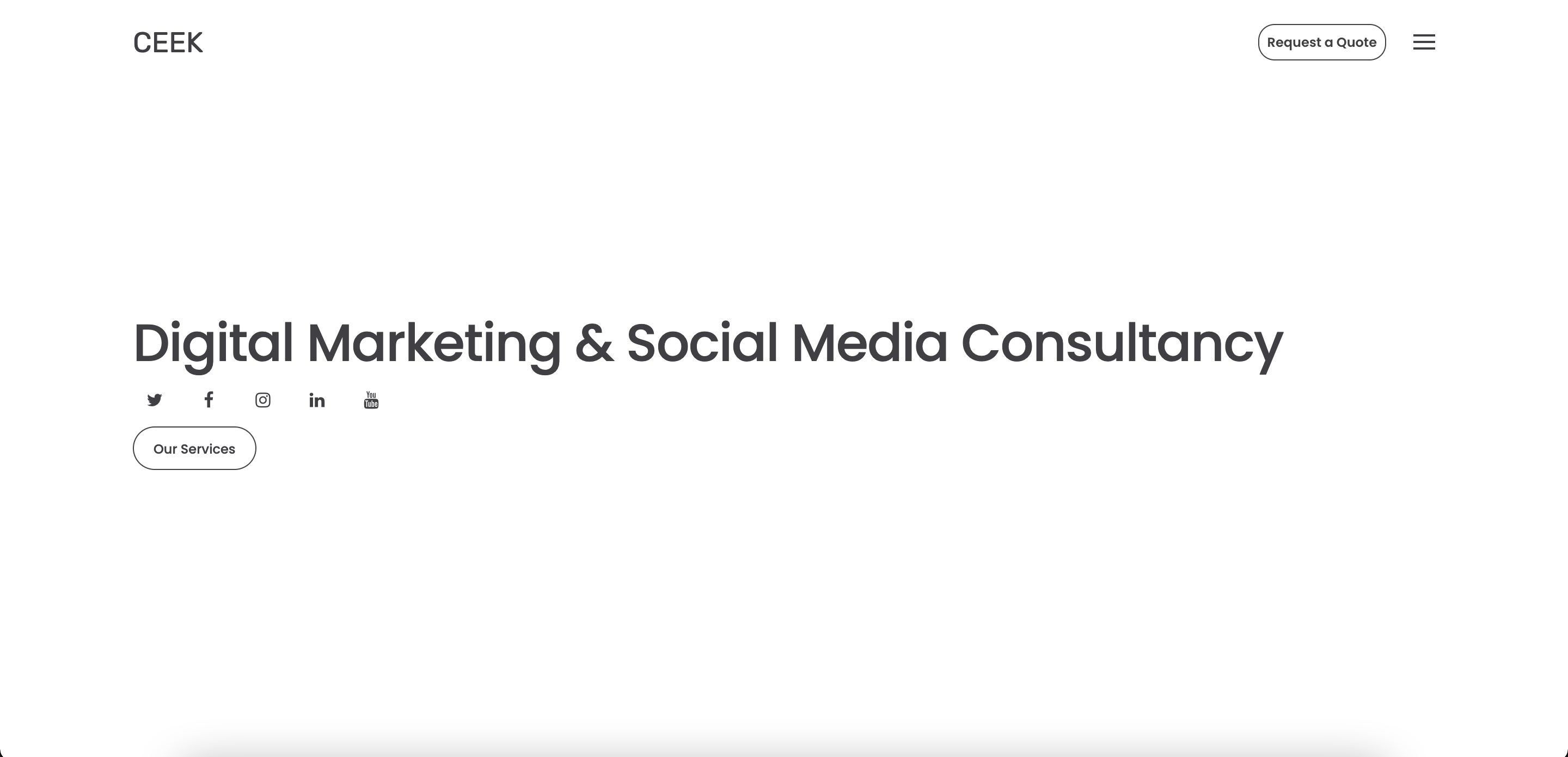 CEEK Social Agency website